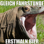 Gleich Fahrstunde erstmaln bier