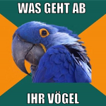 was geht ab  ihr vögel