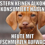 Gestern keinen aLKOHOL kONSUMIERT HABEN HEUTE MIT 
