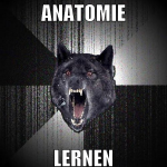 anatomie lernen