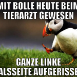 mit bolle heute beim tierarzt gewesen ganze linke 