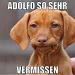 adolfo so sehr vermissen