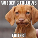 wieder 3 follows faliert