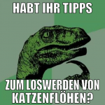 Habt ihr tipps zum loswerden von katzenflöhen?