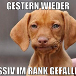 gestern wieder massiv im rank gefallen :(