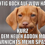 RICHTIG BOCK AUF WOW HABEN KURZ VOR DEM NEUEN ADDO