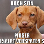 HOCH SEIN PIDSER UND SALAT VERSPÄTEN SICH