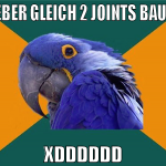 LIEBER GLEICH 2 JOINTS BAUEN xDDDDDD