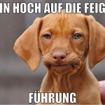 ein hoch auf die feige führung