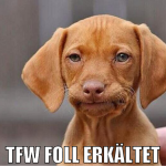 TFW FOLL ERKÄLTET