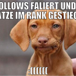 4 follows faliert und 20 plätze im rank gestiegen 