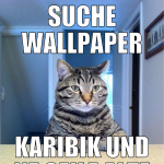 Suche Wallpaper Karibik und ne geile Alte wäre nic