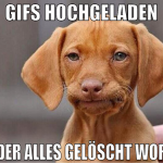 gifs hochgeladen wieder alles gelöscht worden