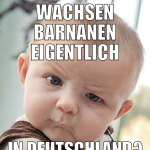 Wachsen Barnanen eigentlich In Deutschland?