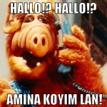 hallo!? Hallo!?  amina koyim lan!