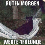 Guten Morgen werte 4Freunde