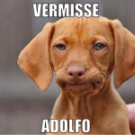 vermisse  adolfo 