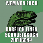 wem von euch darf ich einen schädelbruch zufügen?