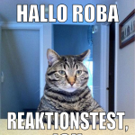 hallo roba reaktionstest, ich bin gespannt