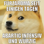 furzaroma seit einigen tagen abartig intensiv und 