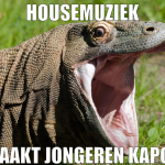 HouseMuziek maakt jongeren Kapot