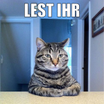 lest ihr comics?