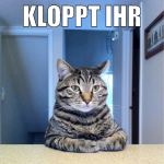 KLOPPT IHR EUCH OFT?
