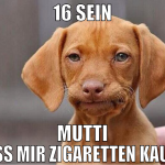 16 sein mutti muss mir zigaretten kaufen