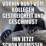 vorhin hunt vom kollegen gestreichelt und geschmus