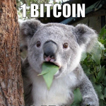 1 bitcoin 266.37 € der hurensohn