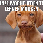 ganze woche jeden tag lernen müssen