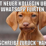 Mit neuer kollegin über whatsapp flirten  sie schr