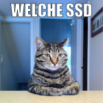 welche ssd kaufen