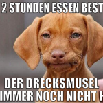 vor 2 stunden essen bestellt der drecksmusel ist i
