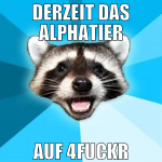 derzeit das alphatier auf 4fuckr