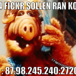 diese 4 fickr sollen ran komben  TS : 87.98.245.24