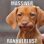 massiver rankverlust