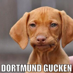 Dortmund gucken