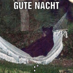 GUTE NACHT :*