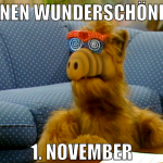 einen wunderschönen 1. November