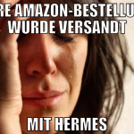 ihre Amazon-Bestellung wurde versandt mit hermes