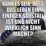 Kann es sein, dass das Leben ein einziger Saustall
