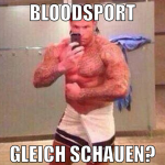 bloodsport gleich schauen?