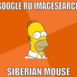 Google.ru imagesearch siberian mouse