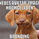 neues avatar-image hochgeladen branding