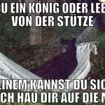 Bist du ein König oder lebst du von der stütze bei