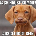 nach hause kommen ausgeloggt sein