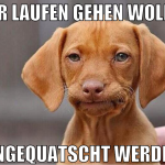 nur laufen gehen wollen angequatscht werden