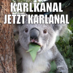 KarlKanal jetzt KarlAnal WTf!?!
