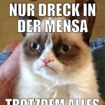 Nur dreck in der mensa trotzdem alles voller husos